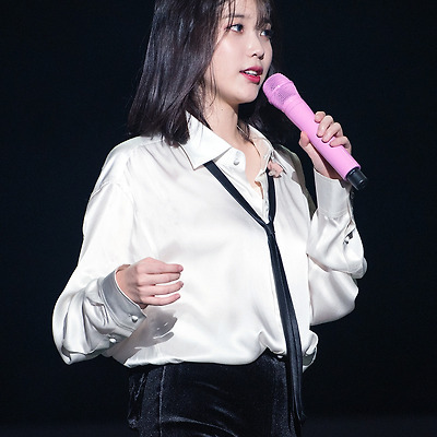 [171111] 팔레트 광주 콘서트 포토타임 아이유 직찍 by 달빛마차