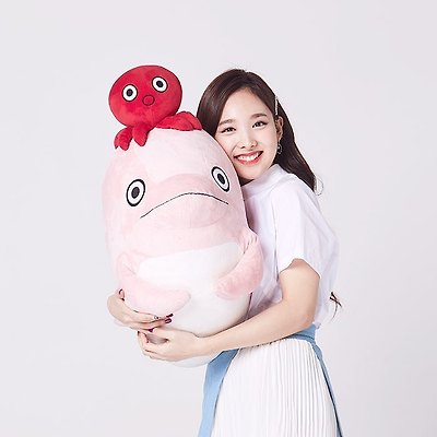 탱키패밀리 트와이스 사나 쯔위 모모 정연 다현 채영 나연 지효