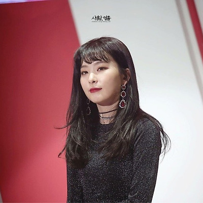 레드벨벳 슬기 180415 콘서트 고화질 사진 4장