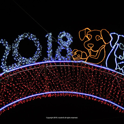 2018년 무술년 (戊戌年), 해돋이 in 부산