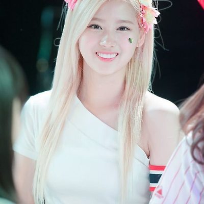 꽃사나