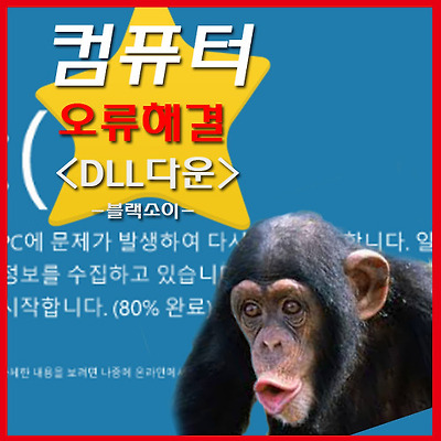 d3dx9_28.dll 오류 는 29초 다운로드로 해결하자구!! :: 블랙소이 정보통