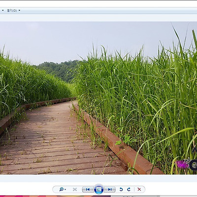 윈도우10 윈도우7용 이미지뷰어로 변경하기