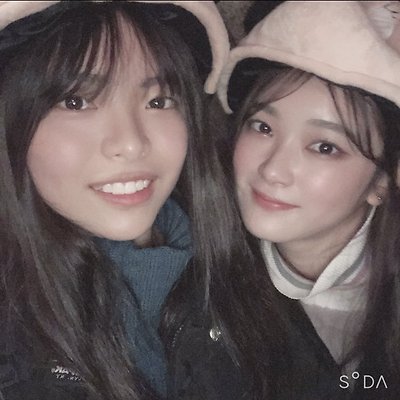 [사쿠라이 미우 충격의 탈락] 정채연, 김세정 닮은 니지 프로젝트 참가자