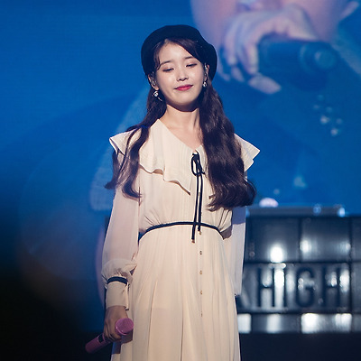 [171203] 팔레트 청주 콘서트  아이유 직찍 by 달빛마차