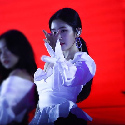 레드벨벳 아이린의 뭔가 야릇한 새 홈마