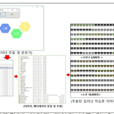 국립생태원 ASF 상시감시체계 구축