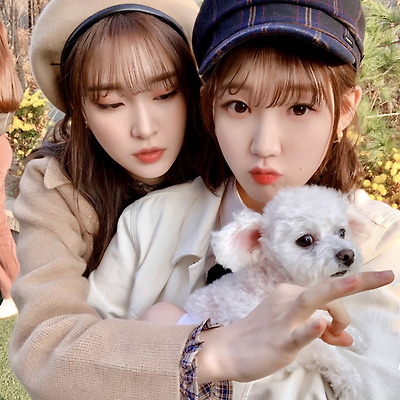 위클리와 댕댕이