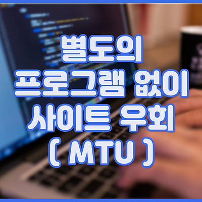 별도의 프로그램 추가 없이 사이트 우회하는 방법