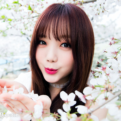 러블리즈 디스패치 HD 포토-C 22장