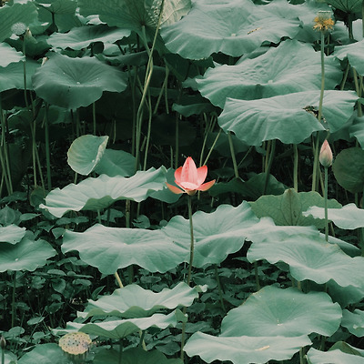 [흑해] 관통후기 리뉴얼 5 : 레전드 미친짓