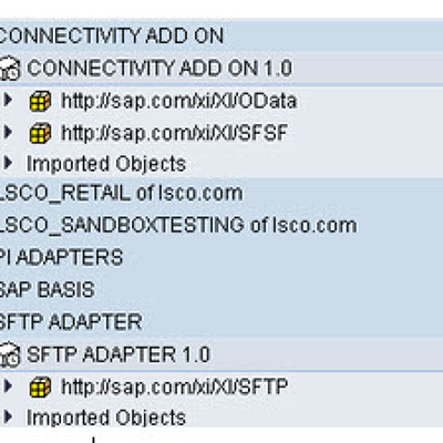 PI B2B, SFTP, PGP and CONNECTIVITY ADDON PO 7.5 SP02