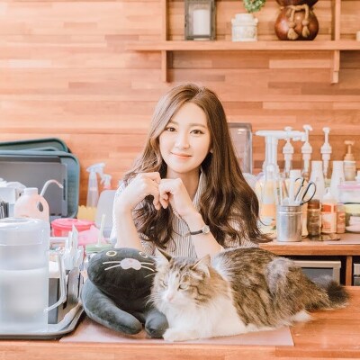 한국 최초 야외형 고양이카페 '고양이정원'