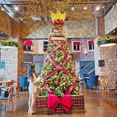 요즘 가장 핫한 대전 대형 크리스마스 트리 카페 홀리크로스