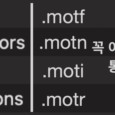 [파이널컷/모션] 효과 motf, motn, moti, motr 넣는 폴더 알아보기