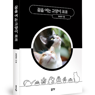 [신간] 좋은땅출판사, '꿈을 여는 고양이 코코'
