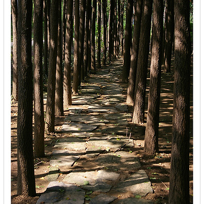 [K100D] 서울숲 2008.08.19