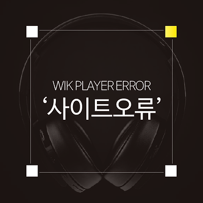 Wik player error - 사이트 오류에 대한 이슈(티스토리)