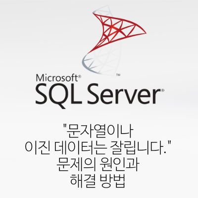 [SQL] SQL Server "문자열이나 이진 데이터는 잘립니다." 문제의 원인과 해결 방법 - varchar와 nvarchar의 차이와 문자열 길이 얻기