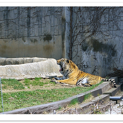 [K100D] 어린이 대공원 동물 2008.04.08