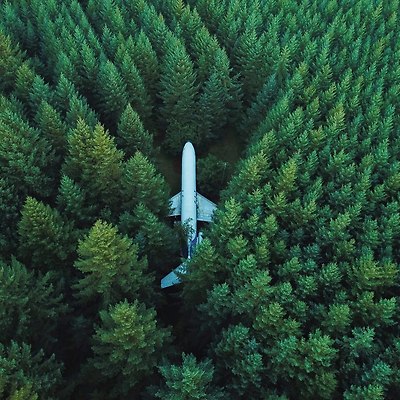 나무들로 둘러싸인 지상의 비행기 사진