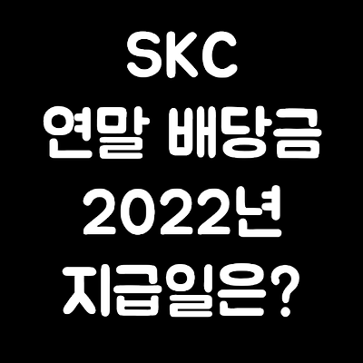 [SKC] 결산 배당금 지급일은? (2022년 지급일 예상)