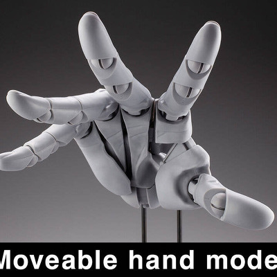갖고 싶은 손이 생겼습니다 - 디 얼티밋 핸드 모델(The Ultimate Hand Model : Takahiro Kagami와 Kotobukiya 합작)