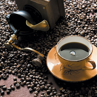 커피에 대한 심층 보고서