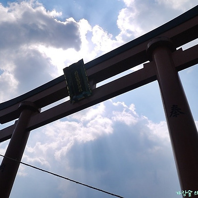 일본 사가현여행 #23 - 유토쿠이나리 신사가는 길