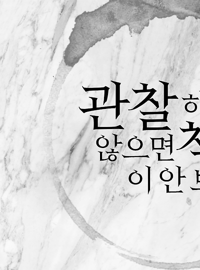 [백모란&피톤치즈] 관찰하지 않으면 책상이 안보인다.