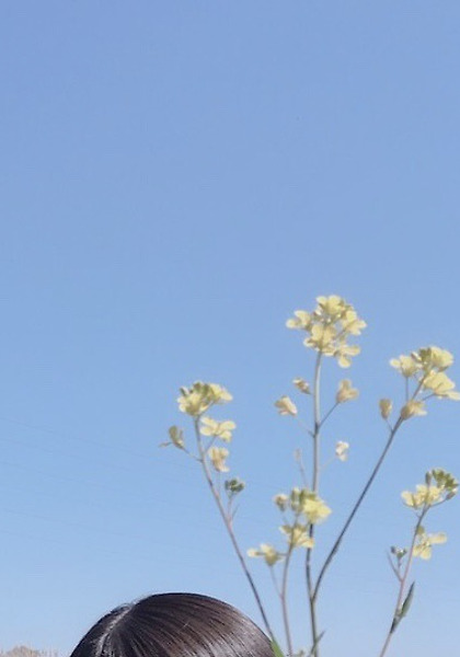 190411 케야키자카46 2기생 후지요시 카린 블로그