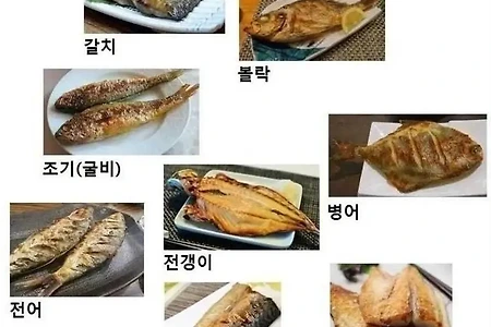 생선구이 티어표