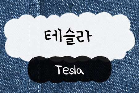 [테슬라] 기업분석 케이스스터디(Case Study) - 테슬라(Tesla)의 성공전략, 수익모델