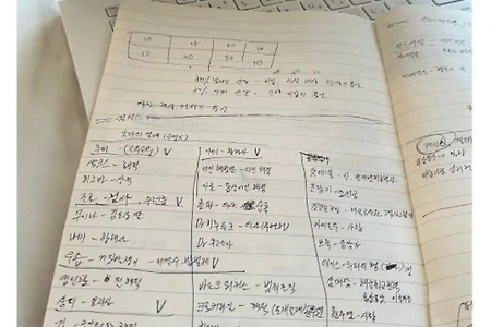 침착맨으로 원피스 공부하신 어머니