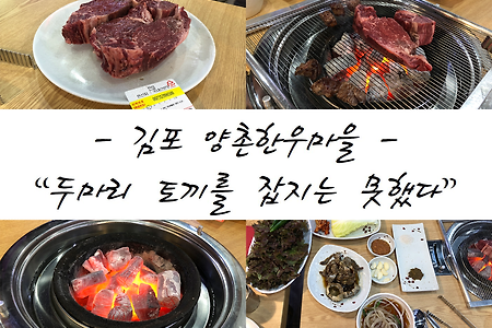 [★★][김포 양촌한우마을] 소고기 한우 맛집??