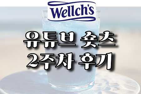 유튜브 숏츠 2주차 후기