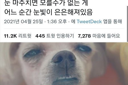 진짜 퇴사각 세운 사람들은 딱 티가 남