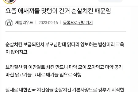 요즘 애들 맛탱이 간 거 순살치킨 때문임.jpg