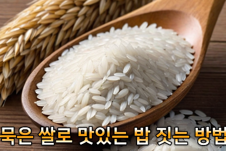 묵은 쌀로 맛있는 밥 짓는 방법 + 오래된 쌀의 찰기 밥짓기 원리