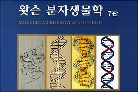 [왓슨 분자생물학] 19장 진핵세포의 전사조절-1