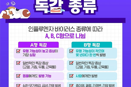 독감의 종류 및 증상
