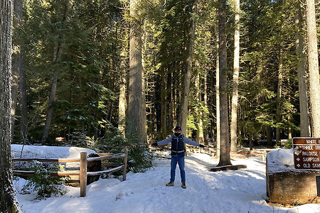 크리스마스 이브 하이킹:  Giant White Pine Campground and Trails, 겨울에는 비추 🤦🏻‍♀️