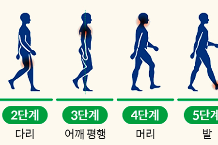 [걷기 운동 방법] 뇌의 건강 효과와 걷기 운동을 해야하는 이유?