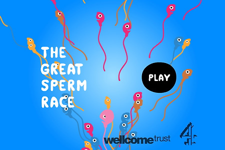 임신시키기 게임 - The Great Sperm Race