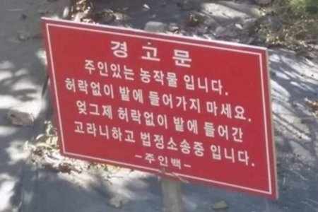 밭에 들어오면 고소함