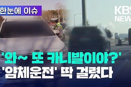 '얌체운전' 현장 적발 영상 싹 모았다. 와~ 또 카니발이야?'