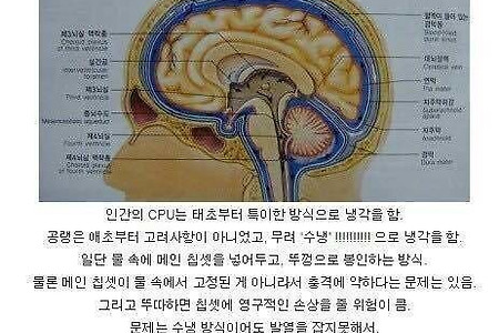 컴퓨터 구조 (7) 중앙처리장치/ 명령어 집합/ 흐름 제어/ RISC/ CISC