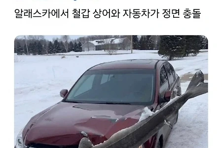 알래스카에서 일어날수있는 교통사고 ..JPG