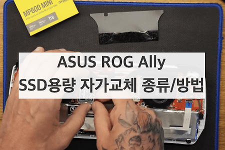 ASUS ROG Ally - SSD용량 자가교체 종류/방법(5분 소요)