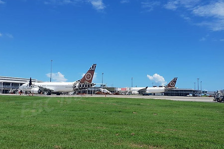 피지(Fiji) 국적기 운항 중단!